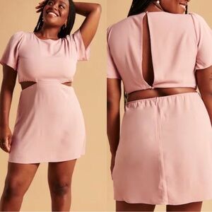 Abercrombie & Fitch NWT Angel Sleeve Cut Out Mini Pink Dress Size XXL